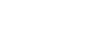 Year of Zayed logo